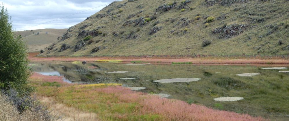 GDMBR: The Slash H Ranch probably owns and controls this water source.